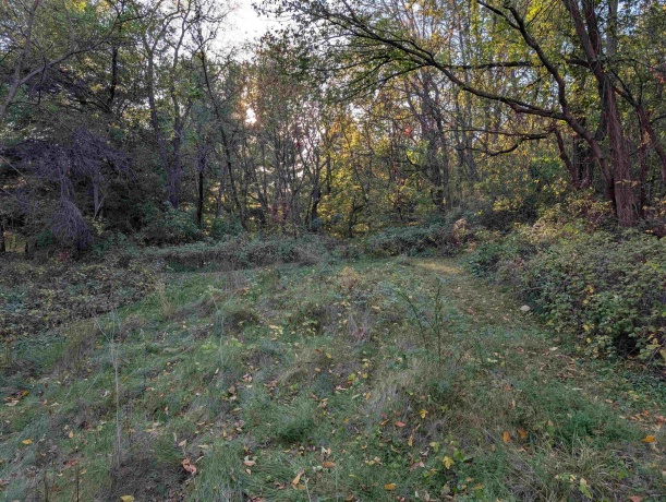 3349 Mill, CHERRY VALLEY, Illinois 61016, ,Land,For Sale,Mill,202506595