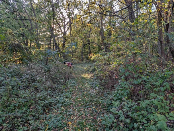 3349 Mill, CHERRY VALLEY, Illinois 61016, ,Land,For Sale,Mill,202506595