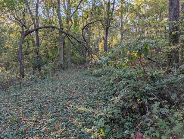 3349 Mill, CHERRY VALLEY, Illinois 61016, ,Land,For Sale,Mill,202506595