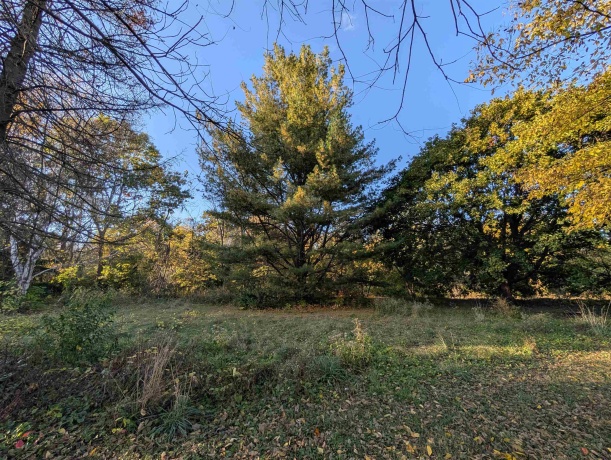 3349 Mill, CHERRY VALLEY, Illinois 61016, ,Land,For Sale,Mill,202506595