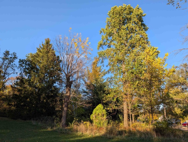 3349 Mill, CHERRY VALLEY, Illinois 61016, ,Land,For Sale,Mill,202506595