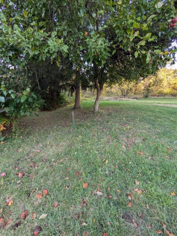 3349 Mill, CHERRY VALLEY, Illinois 61016, ,Land,For Sale,Mill,202506595