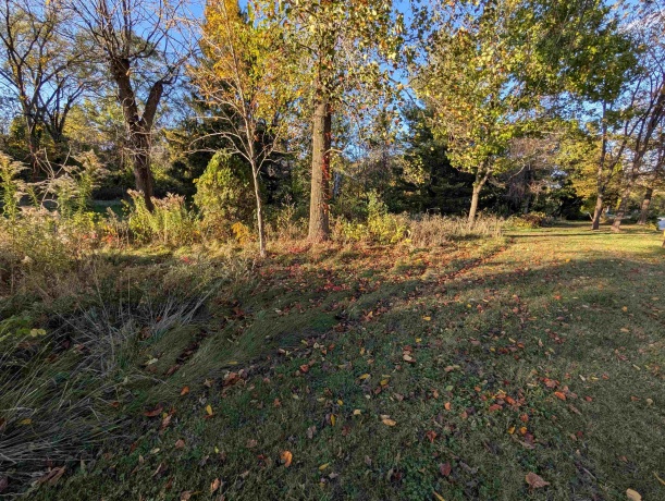 3349 Mill, CHERRY VALLEY, Illinois 61016, ,Land,For Sale,Mill,202506595