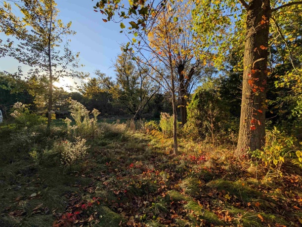 3349 Mill, CHERRY VALLEY, Illinois 61016, ,Land,For Sale,Mill,202506595