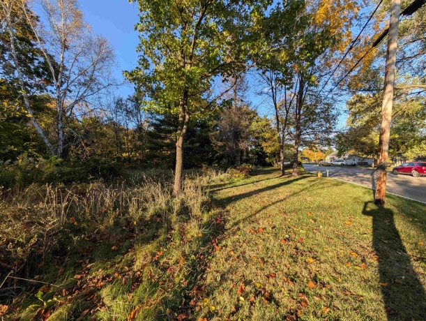 3349 Mill, CHERRY VALLEY, Illinois 61016, ,Land,For Sale,Mill,202506595