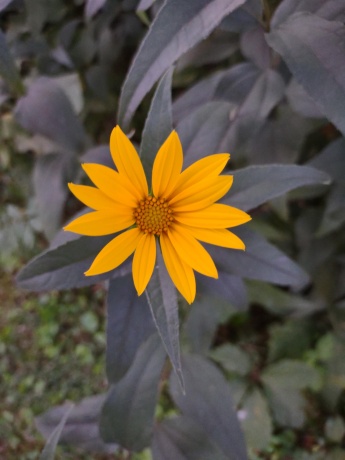 3349 Mill, CHERRY VALLEY, Illinois 61016, ,Land,For Sale,Mill,202506595