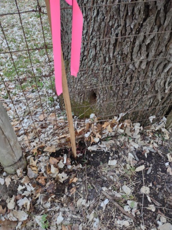 3349 Mill, CHERRY VALLEY, Illinois 61016, ,Land,For Sale,Mill,202506595