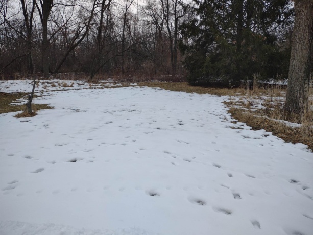 3349 Mill, CHERRY VALLEY, Illinois 61016, ,Land,For Sale,Mill,202506595