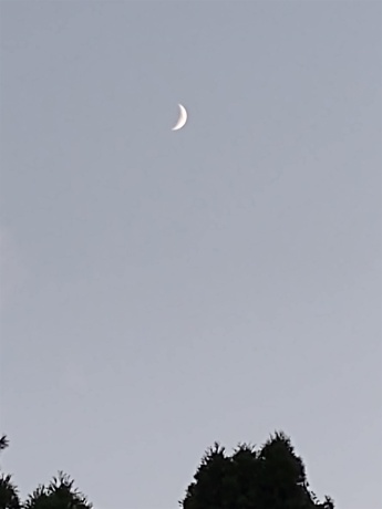 3349 Mill, CHERRY VALLEY, Illinois 61016, ,Land,For Sale,Mill,202506595