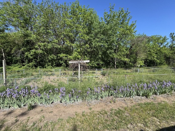 4976 Pheasant, THOMSON, Illinois 61285, 2 Bedrooms Bedrooms, ,2 BathroomsBathrooms,House,For Sale,Pheasant,202502547