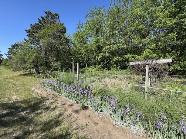 4976 Pheasant, THOMSON, Illinois 61285, 2 Bedrooms Bedrooms, ,2 BathroomsBathrooms,House,For Sale,Pheasant,202502547