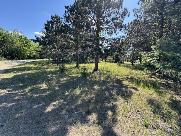 4976 Pheasant, THOMSON, Illinois 61285, 2 Bedrooms Bedrooms, ,2 BathroomsBathrooms,House,For Sale,Pheasant,202502547