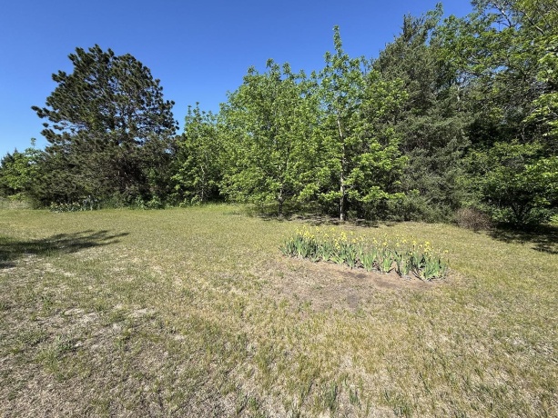 4976 Pheasant, THOMSON, Illinois 61285, 2 Bedrooms Bedrooms, ,2 BathroomsBathrooms,House,For Sale,Pheasant,202502547