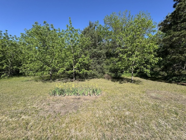 4976 Pheasant, THOMSON, Illinois 61285, 2 Bedrooms Bedrooms, ,2 BathroomsBathrooms,House,For Sale,Pheasant,202502547