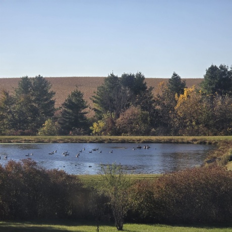 435 Sunnyside, Cedarville, Illinois 61013, 3 Bedrooms Bedrooms, ,3 BathroomsBathrooms,House,For Sale,Sunnyside,202506601