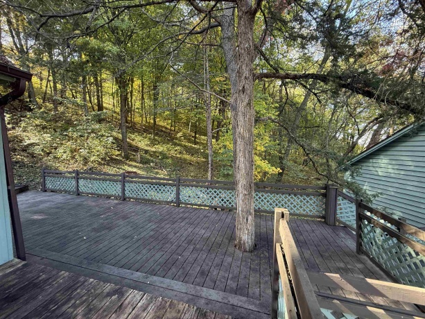 1 Jonquil, GALENA, Illinois 61036, 4 Bedrooms Bedrooms, ,3 BathroomsBathrooms,House,For Sale,Jonquil,202506633