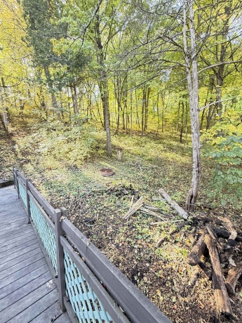 1 Jonquil, GALENA, Illinois 61036, 4 Bedrooms Bedrooms, ,3 BathroomsBathrooms,House,For Sale,Jonquil,202506633