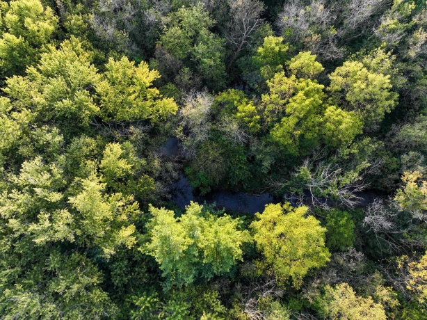 0 Hunter, CAPRON, Illinois 61012, ,Land,For Sale,Hunter,202506648