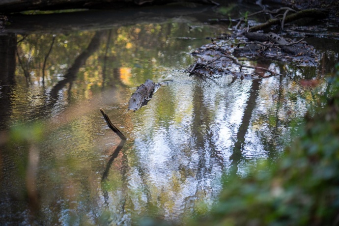 0 Hunter, CAPRON, Illinois 61012, ,Land,For Sale,Hunter,202506648