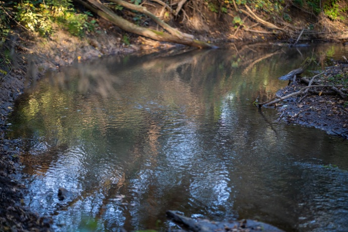 0 Hunter, CAPRON, Illinois 61012, ,Land,For Sale,Hunter,202506648