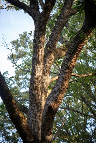 0 Hunter, CAPRON, Illinois 61012, ,Land,For Sale,Hunter,202506648