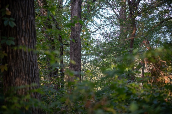 0 Hunter, CAPRON, Illinois 61012, ,Land,For Sale,Hunter,202506648