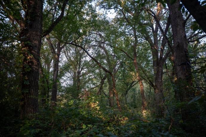 0 Hunter, CAPRON, Illinois 61012, ,Land,For Sale,Hunter,202506648