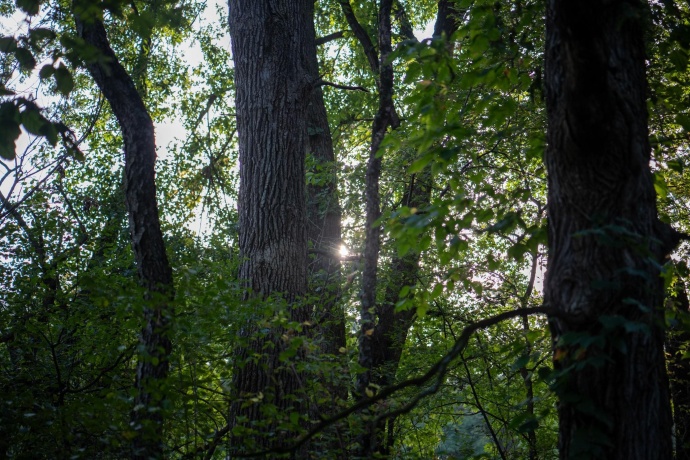 0 Hunter, CAPRON, Illinois 61012, ,Land,For Sale,Hunter,202506648