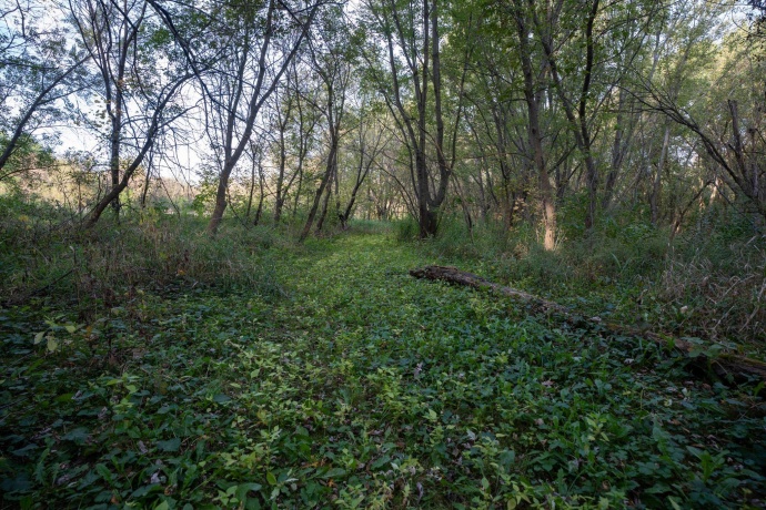 0 Hunter, CAPRON, Illinois 61012, ,Land,For Sale,Hunter,202506648