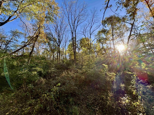 7151 Blackjack, HANOVER, Illinois 61041, 3 Bedrooms Bedrooms, ,1 BathroomBathrooms,House,For Sale,Blackjack,202506663