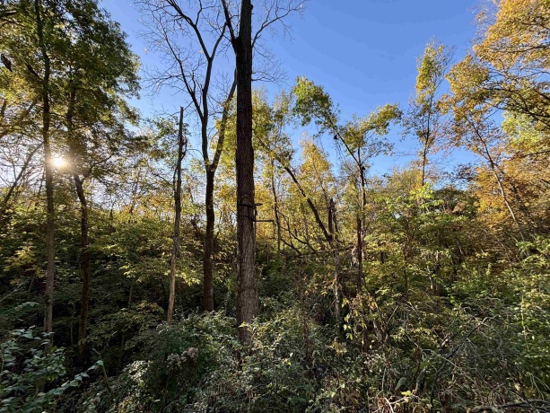 7151 Blackjack, HANOVER, Illinois 61041, 3 Bedrooms Bedrooms, ,1 BathroomBathrooms,House,For Sale,Blackjack,202506663