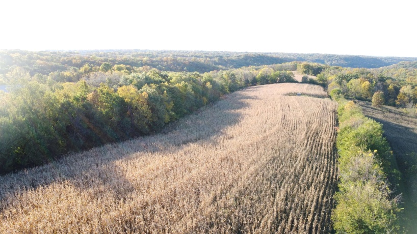 7151 Blackjack, HANOVER, Illinois 61041, 3 Bedrooms Bedrooms, ,1 BathroomBathrooms,House,For Sale,Blackjack,202506663