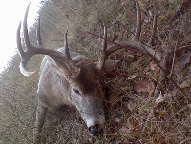 IL Route 26 N, FREEPORT, Illinois 61032, ,Land,For Sale,Route 26 N,202401426