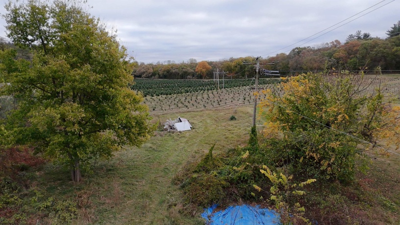 2931 Lowden, OREGON, Illinois 61061, ,2 Units,For Sale,Lowden,202506674