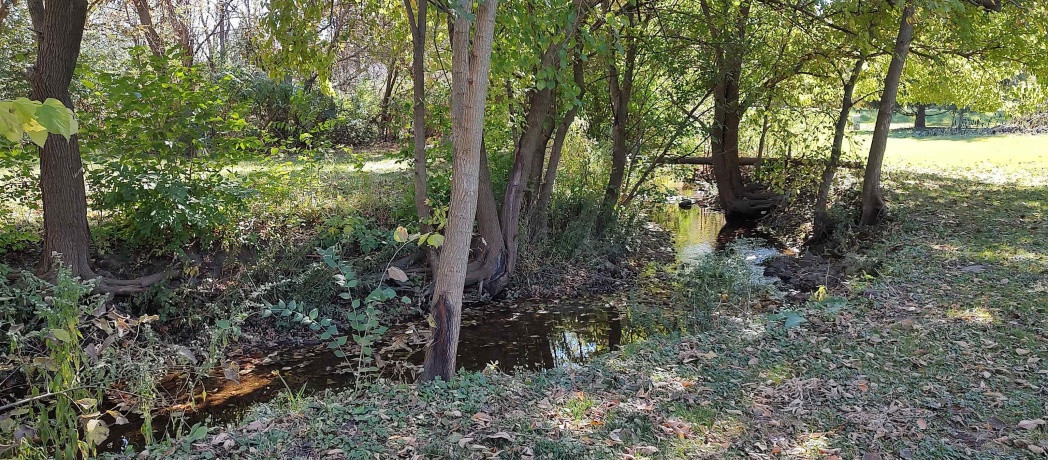 4466 Brookdale, ROCKFORD, Illinois 61109, 5 Bedrooms Bedrooms, ,1 BathroomBathrooms,House,For Sale,Brookdale,202506682