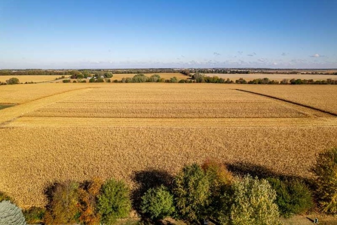 3805 Northline, ROCKFORD, Illinois 61101, 3 Bedrooms Bedrooms, ,1 BathroomBathrooms,House,For Sale,Northline,202506698