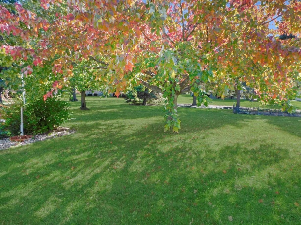 7327 Tulagi, ROCKFORD, Illinois 61108, 3 Bedrooms Bedrooms, ,3 BathroomsBathrooms,House,For Sale,Tulagi,202506720