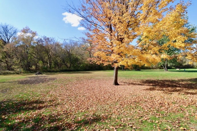 5961 Lacrosse, ROSCOE, Illinois 61073, 3 Bedrooms Bedrooms, ,2 BathroomsBathrooms,House,For Sale,Lacrosse,202506732