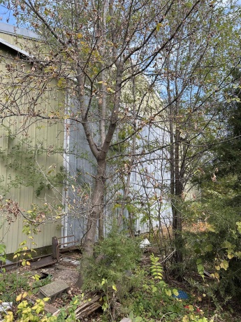 1901 1st, MENDOTA, Illinois 61342, ,Commercial,For Sale,1st,202506743