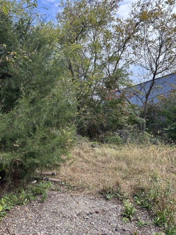 1901 1st, MENDOTA, Illinois 61342, ,Commercial,For Sale,1st,202506743