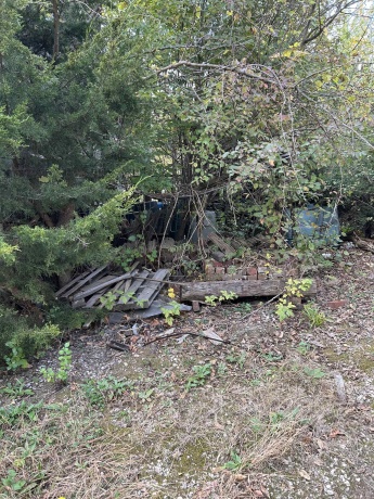 1901 1st, MENDOTA, Illinois 61342, ,Commercial,For Sale,1st,202506743