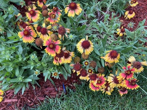 2356 SILVERTHORN, ROCKFORD, Illinois 61107, 4 Bedrooms Bedrooms, ,2 BathroomsBathrooms,House,For Sale,SILVERTHORN,202506494