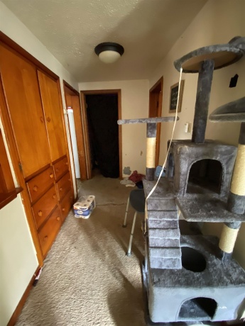 611 Locust, BELVIDERE, Illinois 61008, 3 Bedrooms Bedrooms, ,1 BathroomBathrooms,House,For Sale,Locust,202506764