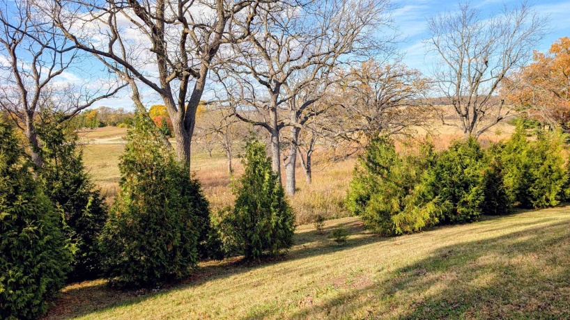 1785 Pines, OREGON, Illinois 61061, 3 Bedrooms Bedrooms, ,1 BathroomBathrooms,House,For Sale,Pines,202506774