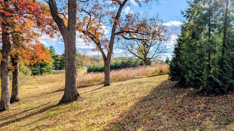 1785 Pines, OREGON, Illinois 61061, 3 Bedrooms Bedrooms, ,1 BathroomBathrooms,House,For Sale,Pines,202506774