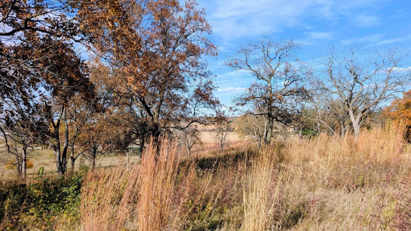 1785 Pines, OREGON, Illinois 61061, 3 Bedrooms Bedrooms, ,1 BathroomBathrooms,House,For Sale,Pines,202506774