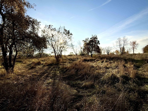 9955 High, STILLMAN VALLEY, Illinois 61084, 3 Bedrooms Bedrooms, ,2 BathroomsBathrooms,House,For Sale,High,202506783