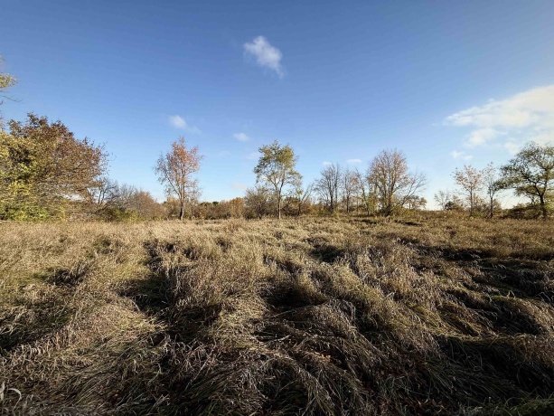 9955 High, STILLMAN VALLEY, Illinois 61084, 3 Bedrooms Bedrooms, ,2 BathroomsBathrooms,House,For Sale,High,202506783