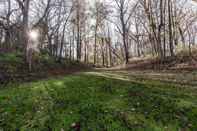 1021 Schapville, ELIZABETH, Illinois 61028, 2 Bedrooms Bedrooms, ,2 BathroomsBathrooms,House,For Sale,Schapville,202506790