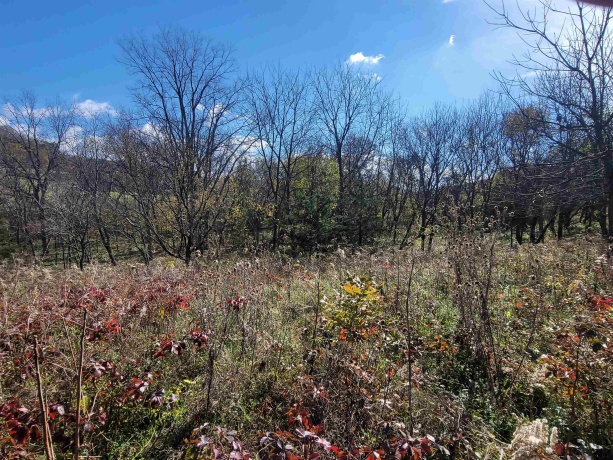 62 Heatherdowns, GALENA, Illinois 61036, ,Land,For Sale,Heatherdowns,202506803